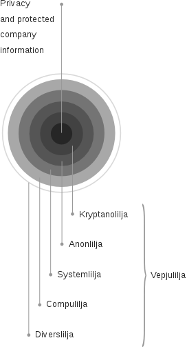 The construction of the privacy protection system, similar to an onion. The privacy and the protected company information are in the middle, several protection layers, which consist of Vepjulilja components, are located around the middle.